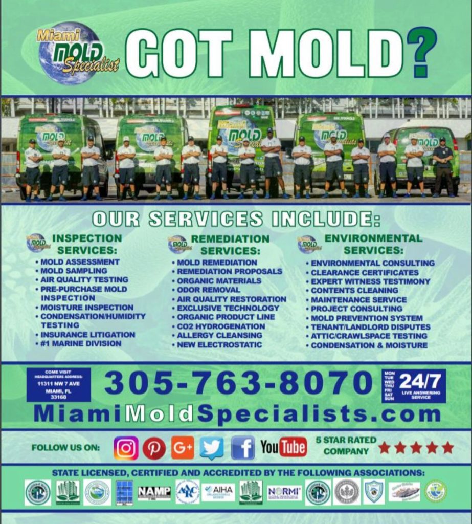 moldremovalservicesnearme Miami Mold Specialist