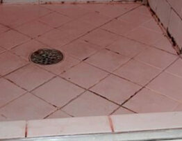 What Does Black Mold Look Like | Miami Mold Specialist