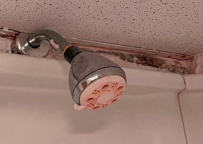 Black Mold In Bathroom Keeps Coming Back