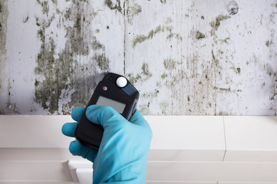 How Long Does Mold Remediation Take? A Complete 2025 Guide | Miami Mold ...