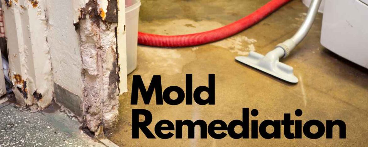 Mold Remediation Guidelines | Simple Steps to Remove Mold | Miami Mold ...